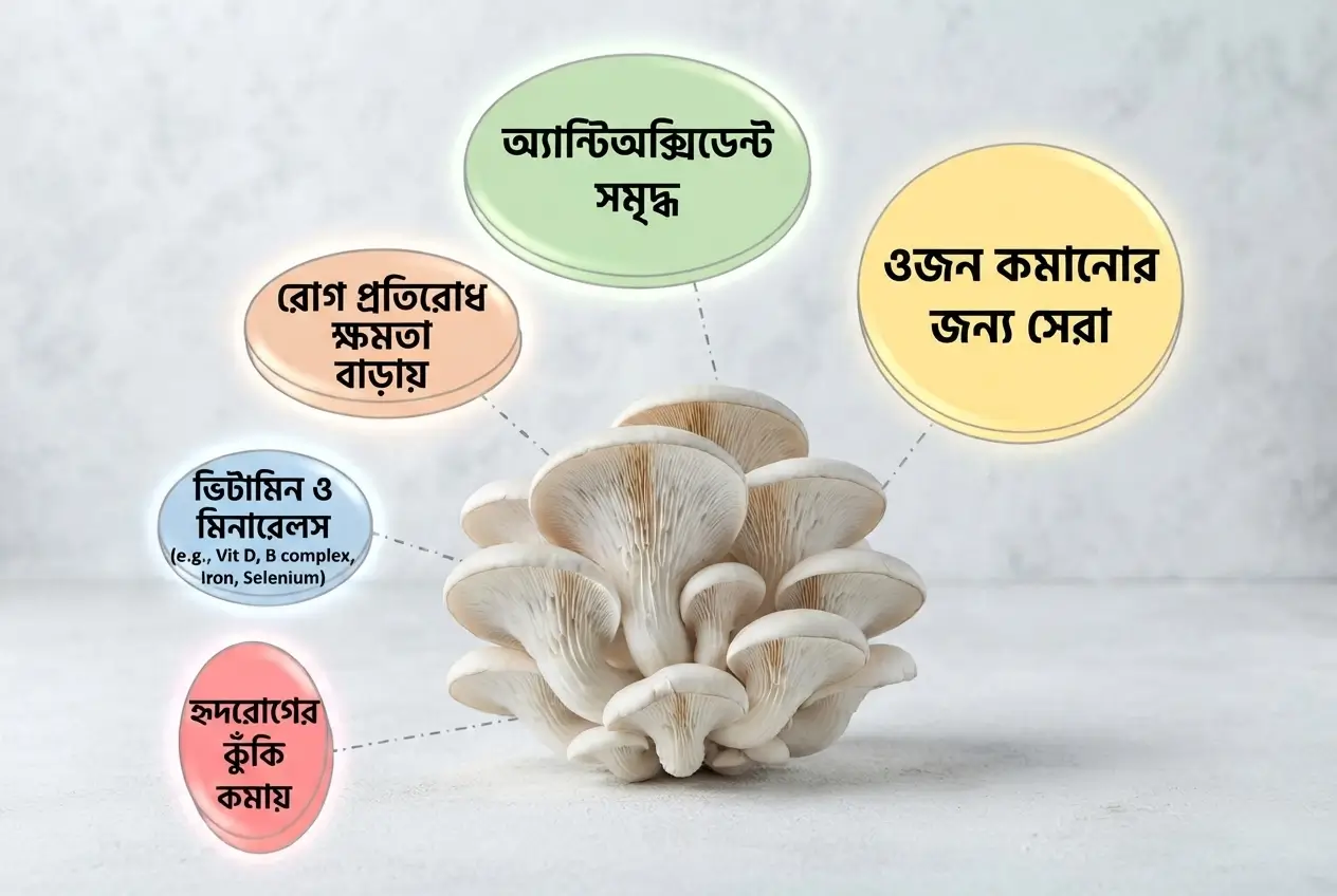 কেন খাবেন মাশরুম? জেনে নিন এর পুষ্টিগুণ ও উপকারিতা