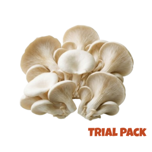 Oyster Mushroom (250g)