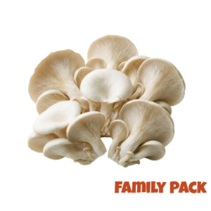 Oyster Mushroom (500g)