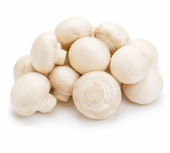 Button Mushroom